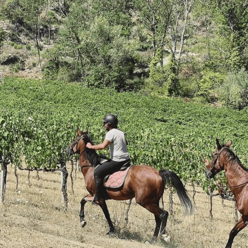 Passeggiate a Cavallo