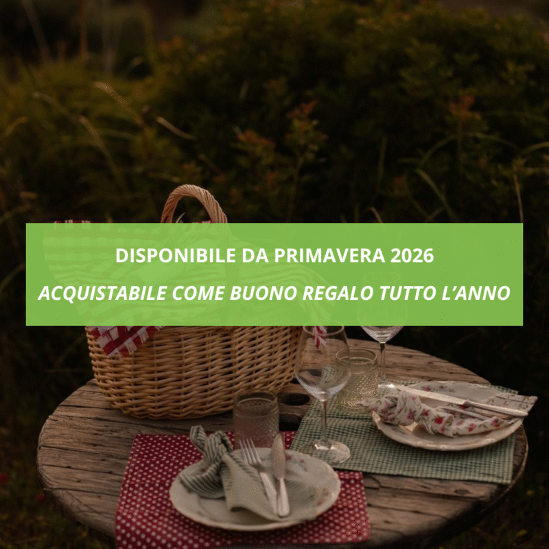 Picnic tra gli Olivi della Sardegna