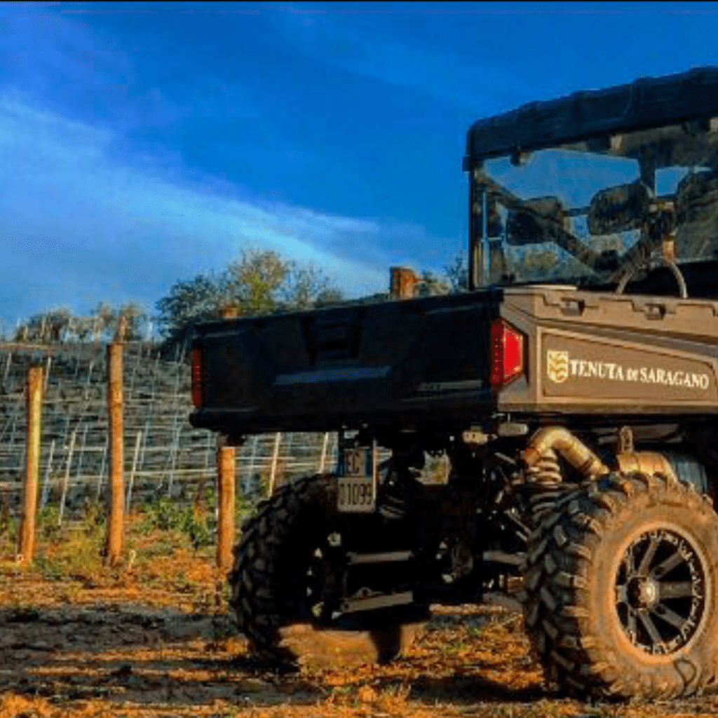 Escursioni in Jeep