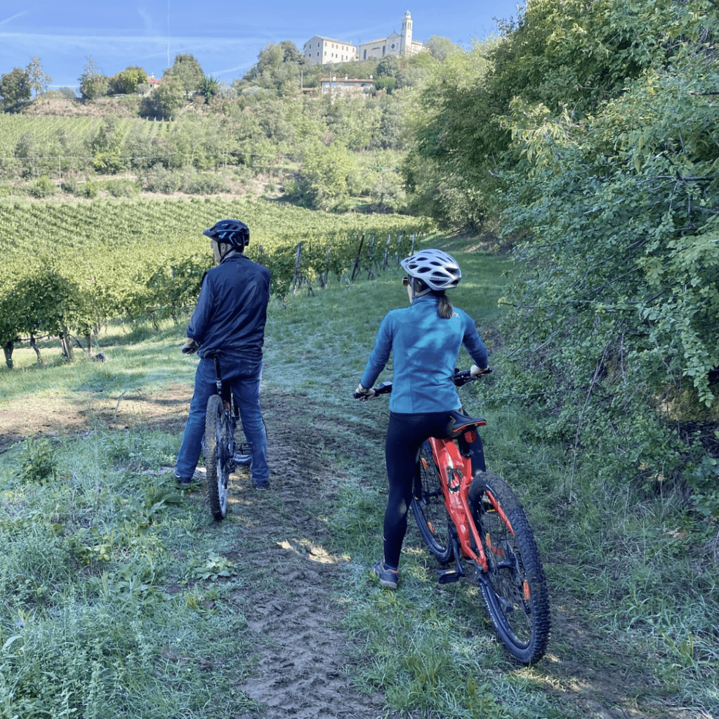 Escursioni in E-Bike