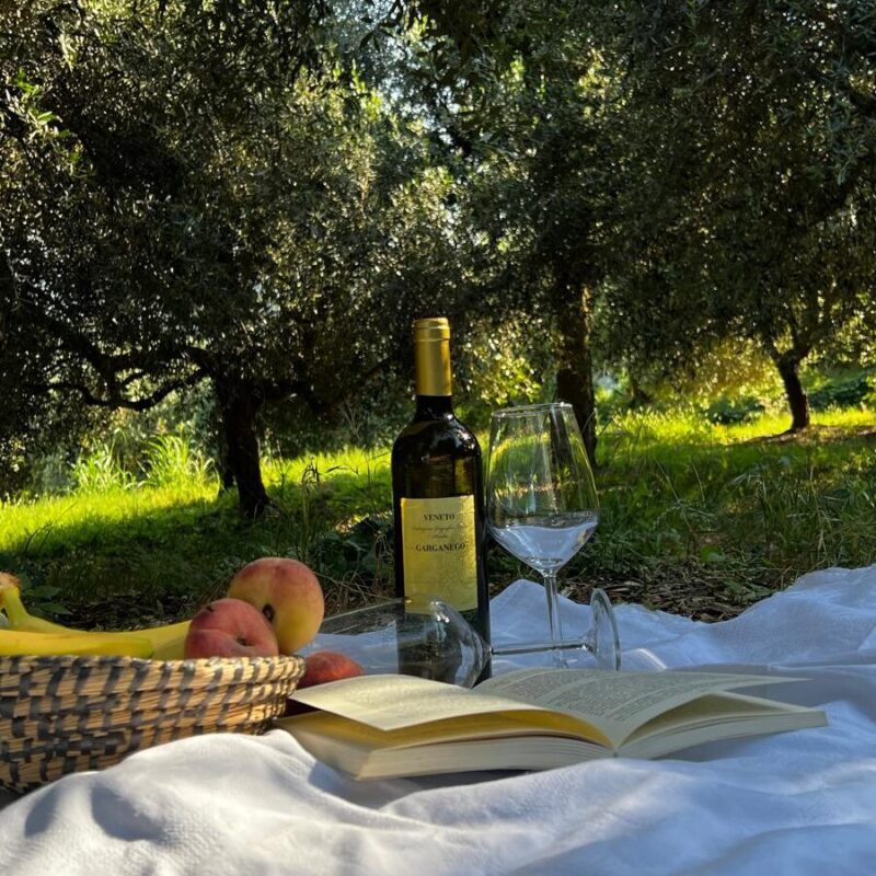 Picnic in Vigna sui Colli Berici