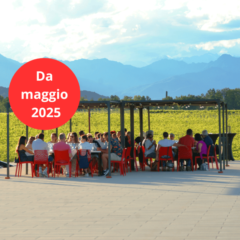 Aperitivo al Tramonto con vista sul Monte Rosa