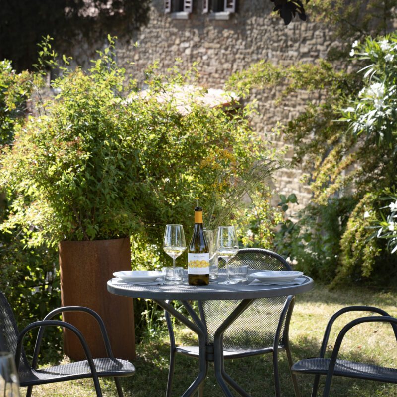 Wine Tour and Tasting con Picnic nel Chianti (Arezzo)