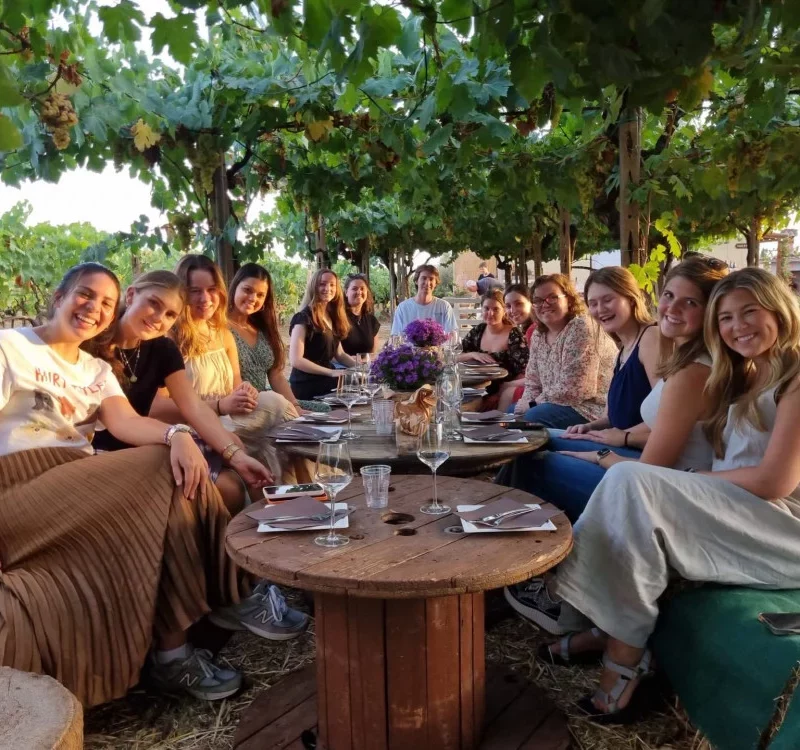 Pic-nic in vigna con cena e degustazione a Roma
