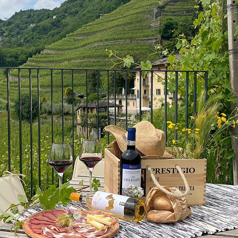 Picnic in Valtellina e visita guidata