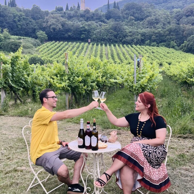 Ragazzi che brindano durante una degustazione di vino in una Villa Veneta circondati da vigneti