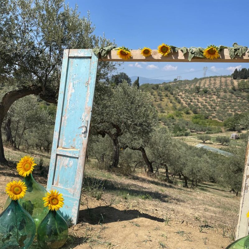 picnic sotto gli ulivi in Abruzzo