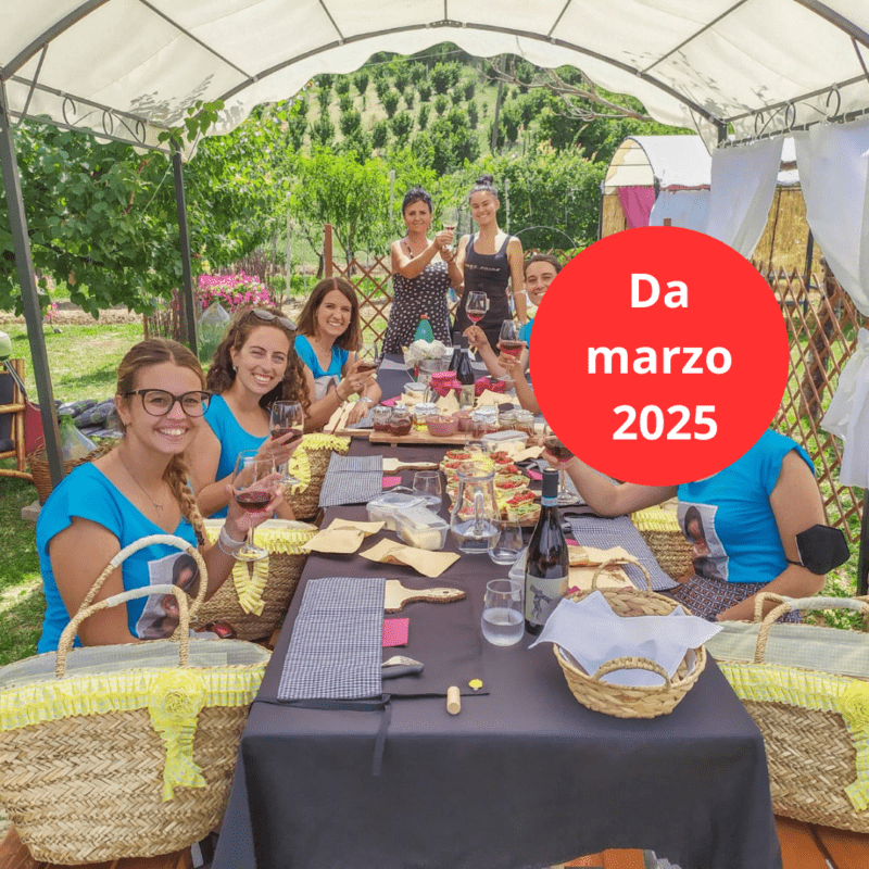 Persone che fanno picnic sotto un gazebo in un wine garden