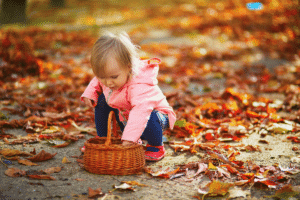 Bambino raccoglie castagne nel bosco in autunno