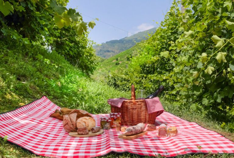Tovaglia con cestino da Picnic in Veneto