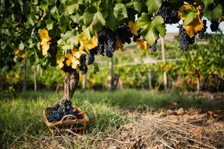 autunno in lombardia