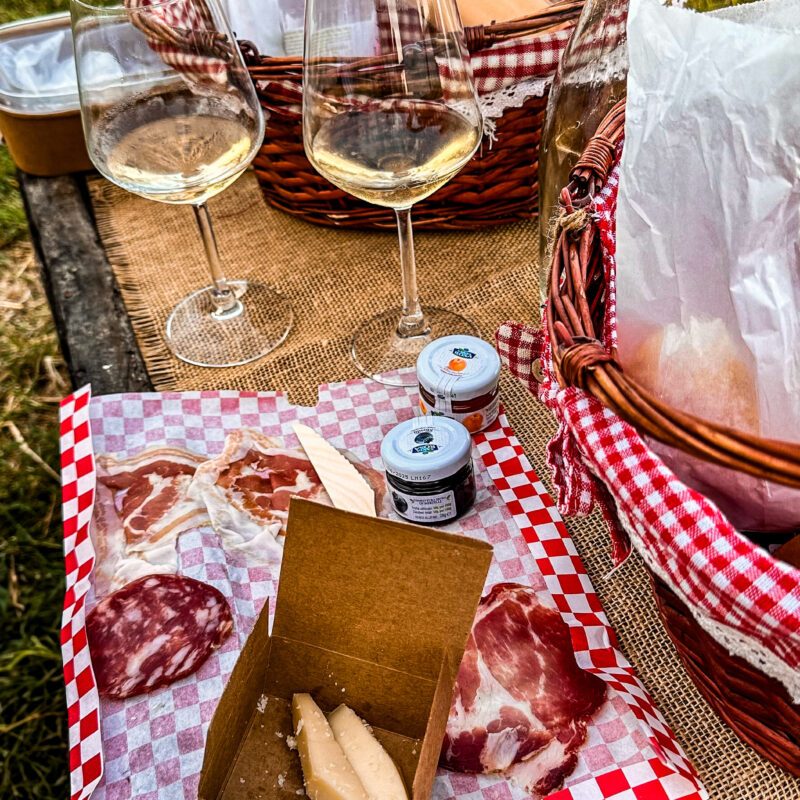 Picnic in Vigna a Piacenza con prodotti tipici piacentini