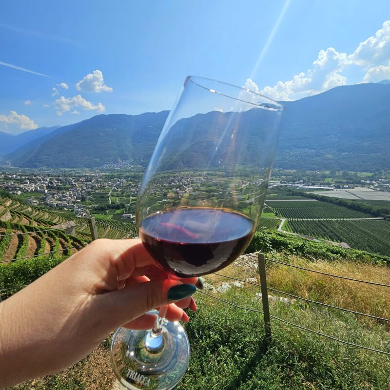 degustazione di vino in valtellina