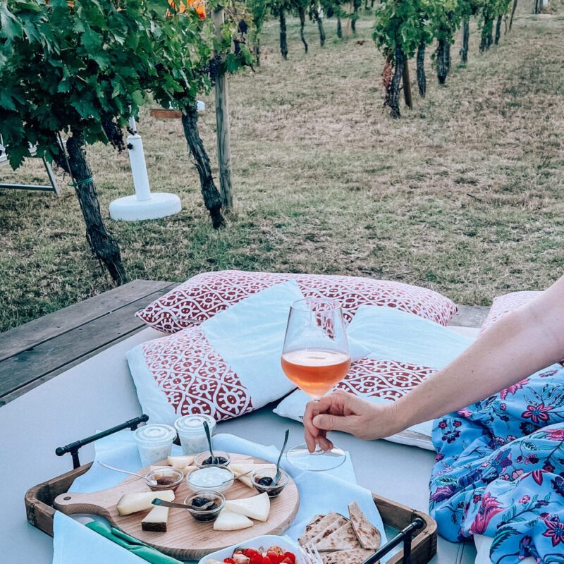 Picnic con prodotti tipici su lettino tra i vigneti di Ravenna