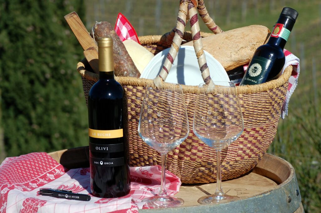 Picnic in Vigna a Siena