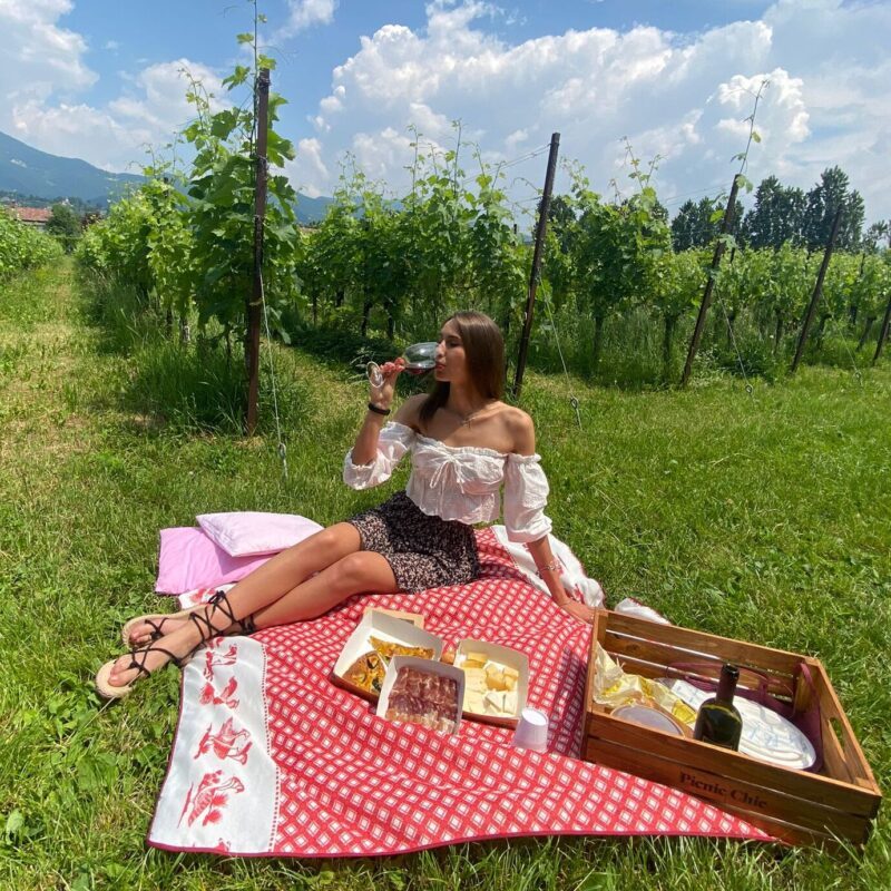 ragazza con degustazione di vino seduta su telo con cestino da picnic in mezzo alle vigne