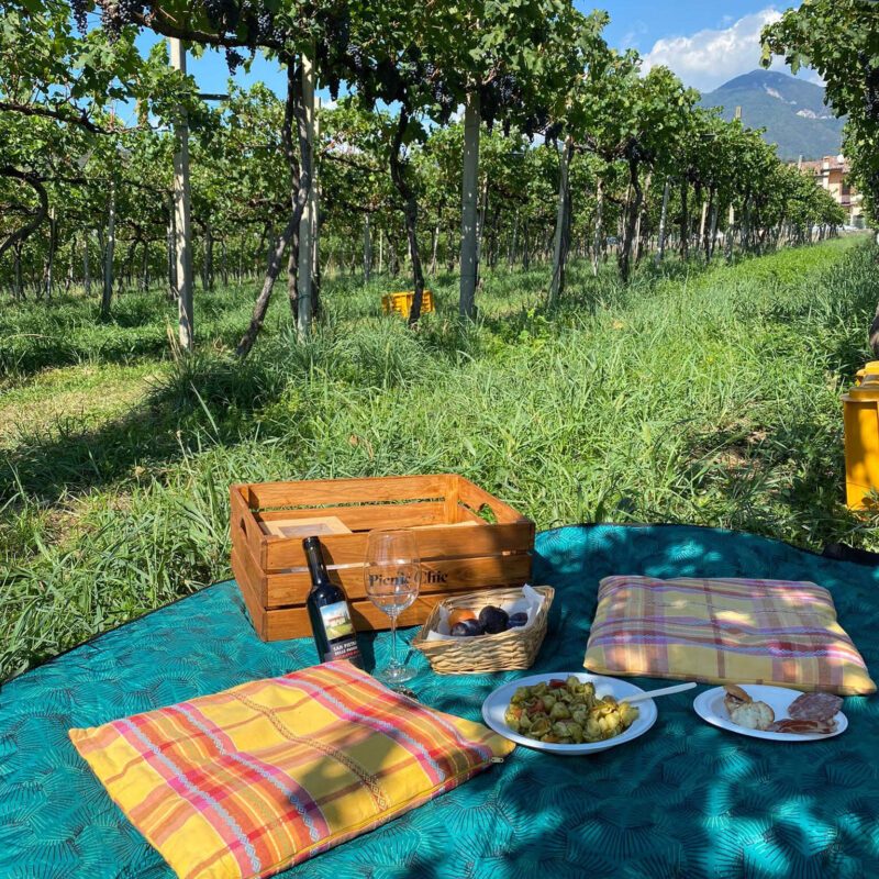 Telo e cuscini con cestino da picnic e vino tra le vigne a Bergamo