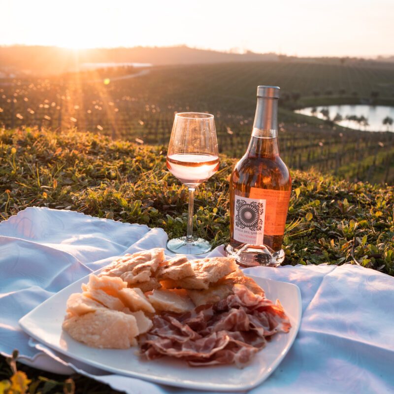 Salumi, formaggi e vino per picnic in vigna sul Garda