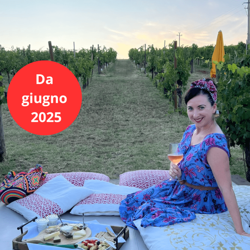 Picnic in vigna e degustazione al tramonto a Ravenna