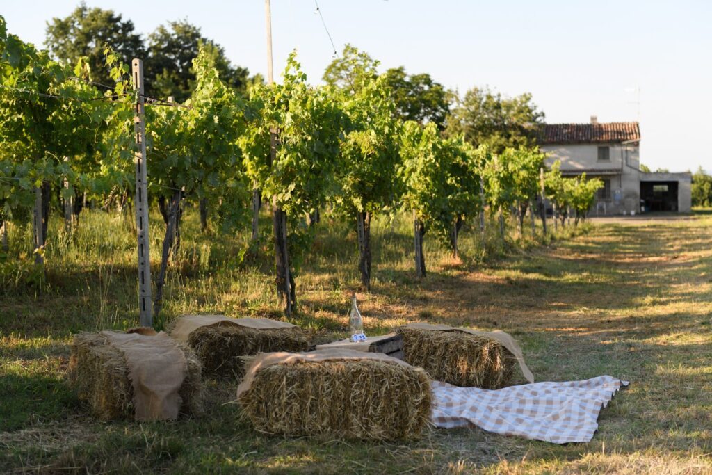 Sedute con balle di fieno per picnic in Emilia Romagna