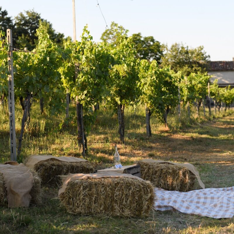 Sedute con balle di fieno per picnic in Emilia Romagna