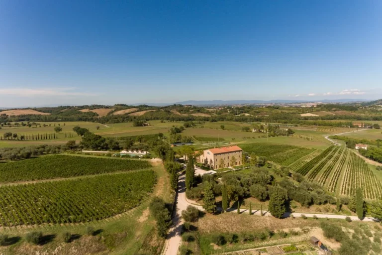 Degustazione "Bronze Wine Tasting" a Siena