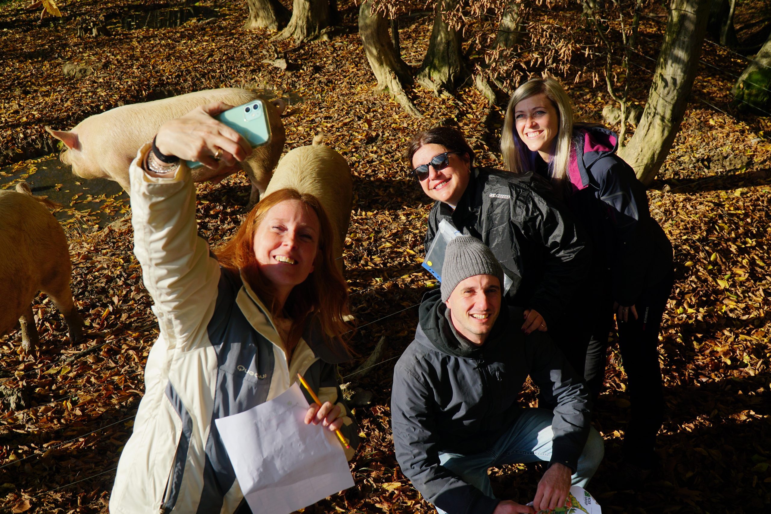 Team building autunnale