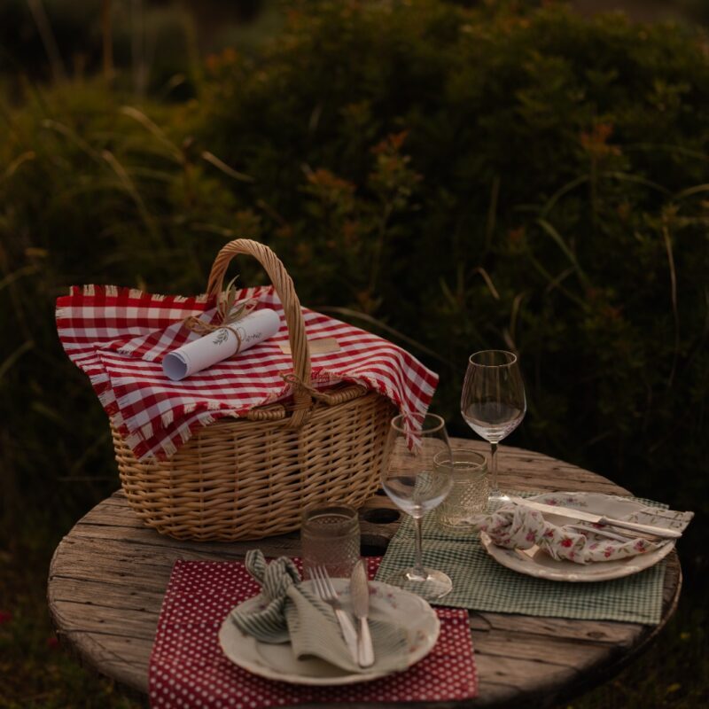 Picnic tra gli Olivi della Sardegna