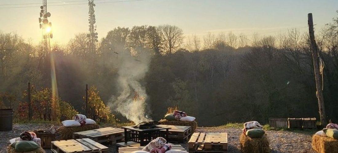 Picnic su stradine di ghiaia di fronte ai vigneti a Milano