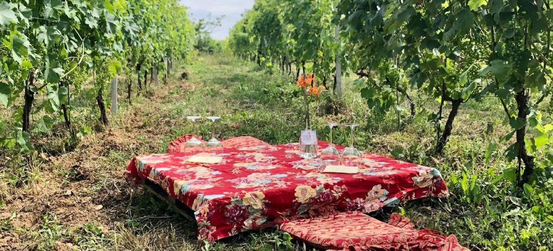 Picnic in Vigna in Alto Piemonte