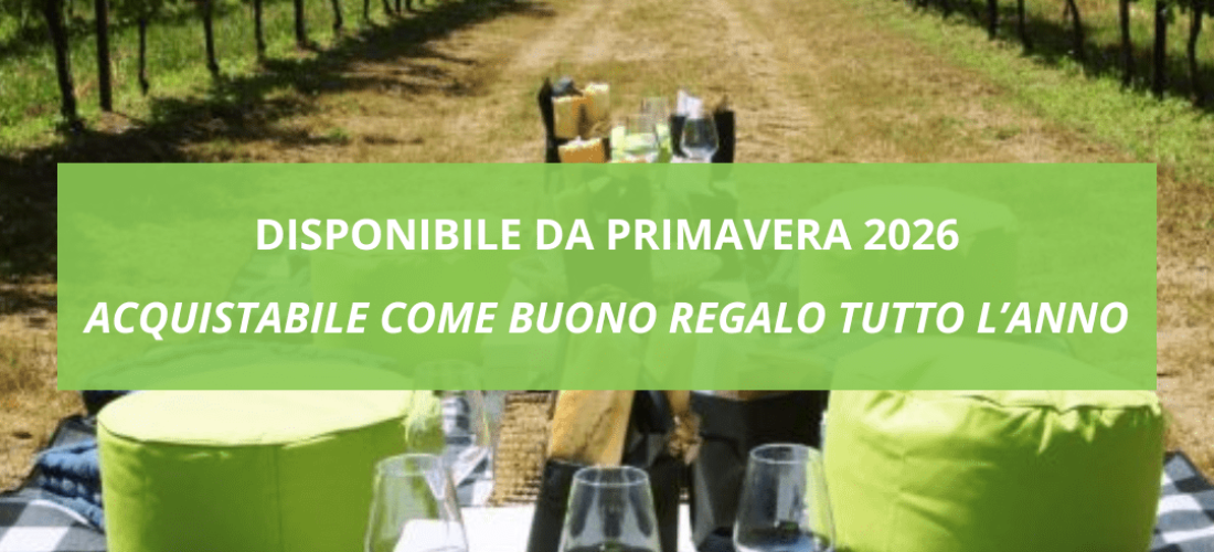 Coperta con postazioni per fare picnic in mezzo alle vigne di fronte al Monte Rosa