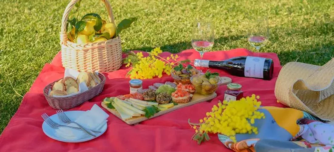 Picnic sul prato a Palermo