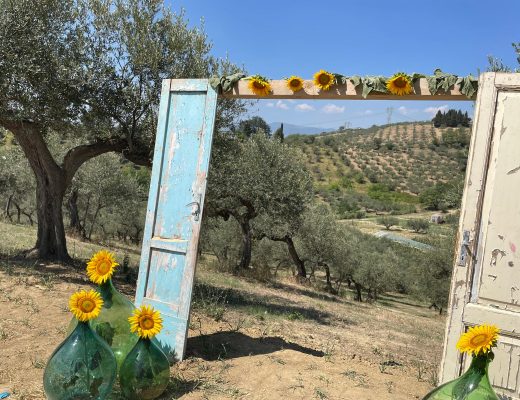 picnic sotto gli ulivi in Abruzzo