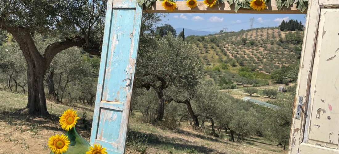 picnic sotto gli ulivi in Abruzzo