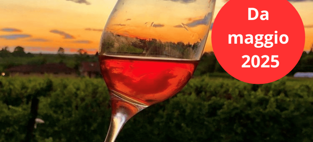 experience di degustazione di un calice di vino al tramonto