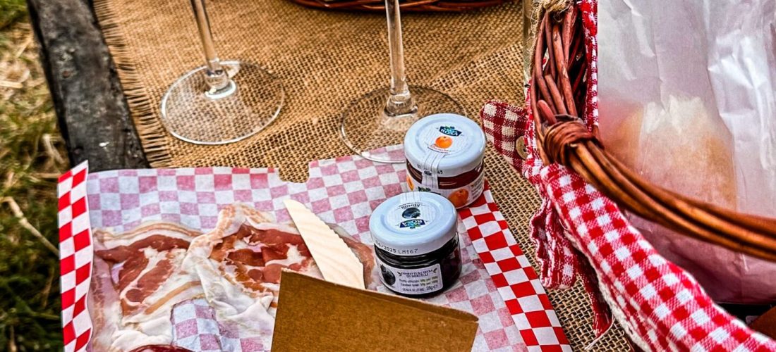 Picnic in Vigna a Piacenza con prodotti tipici piacentini