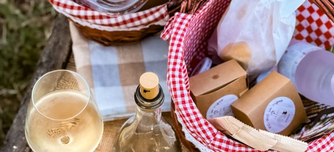 Picnic in vigna a Piacenza