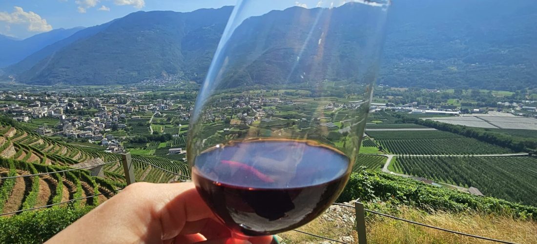 degustazione di vino in valtellina