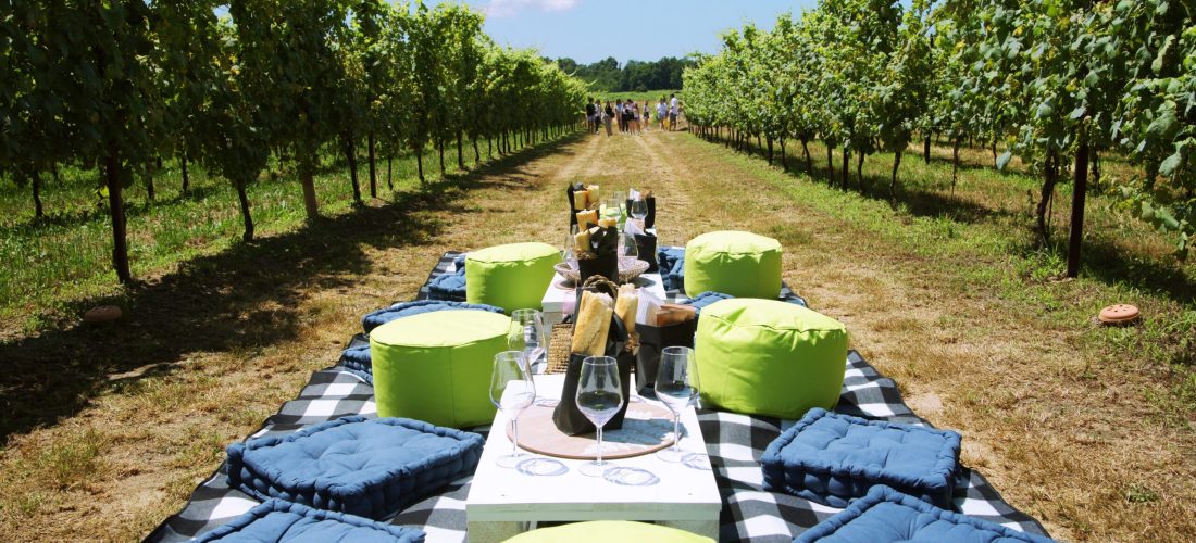 Coperta con postazioni per fare picnic in mezzo alle vigne di fronte al Monte Rosa