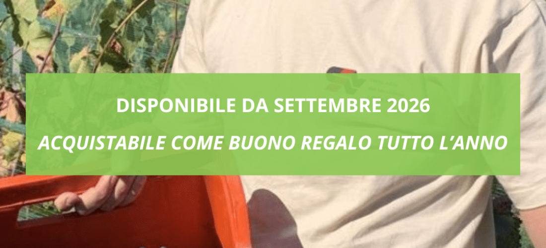 Leffrey Vendemmia