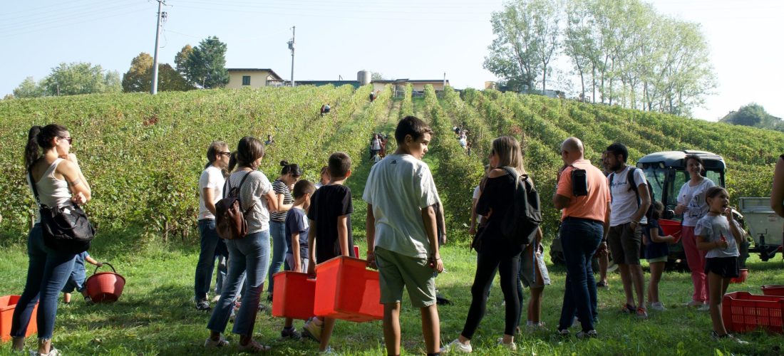 Persone che fanno vendemmia a Milano