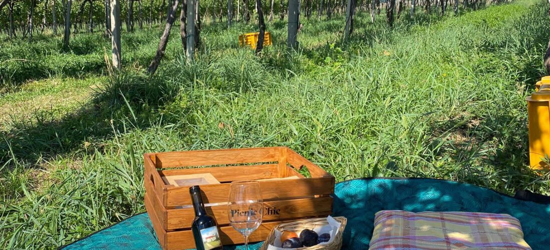 Telo e cuscini con cestino da picnic e vino tra le vigne a Bergamo