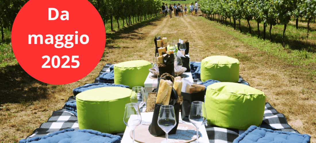 Coperta con postazioni per fare picnic in mezzo alle vigne di fronte al Monte Rosa