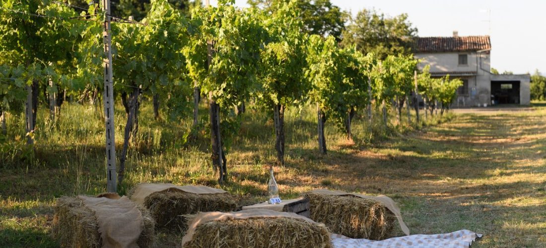 Sedute con balle di fieno per picnic in Emilia Romagna