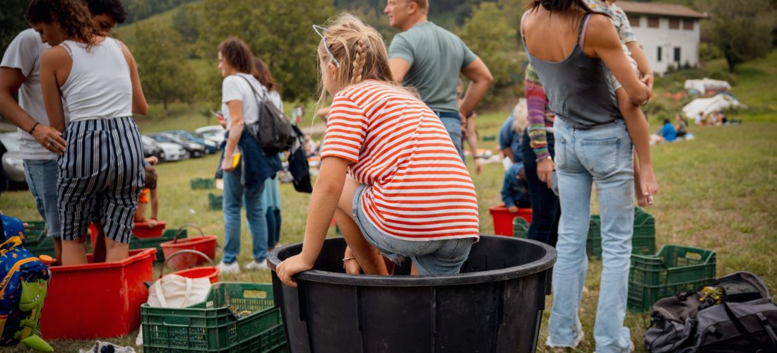 Vendemmia e Pigiatura dell'Uva con Picnic in Vigna in Oltrepò Pavese