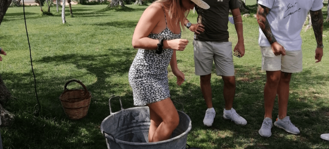 Augustali vendemmia