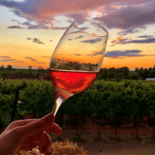 experience di degustazione di un calice di vino al tramonto