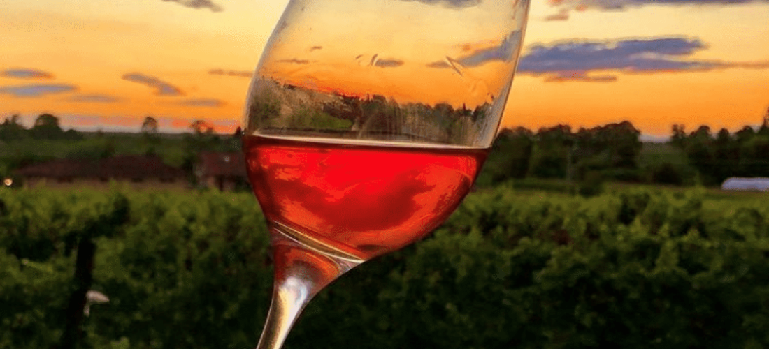 experience di degustazione di un calice di vino al tramonto