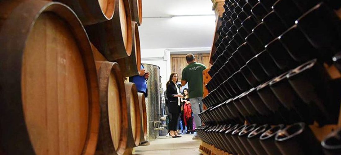 Botti di vino in cantina sulle colline frentane