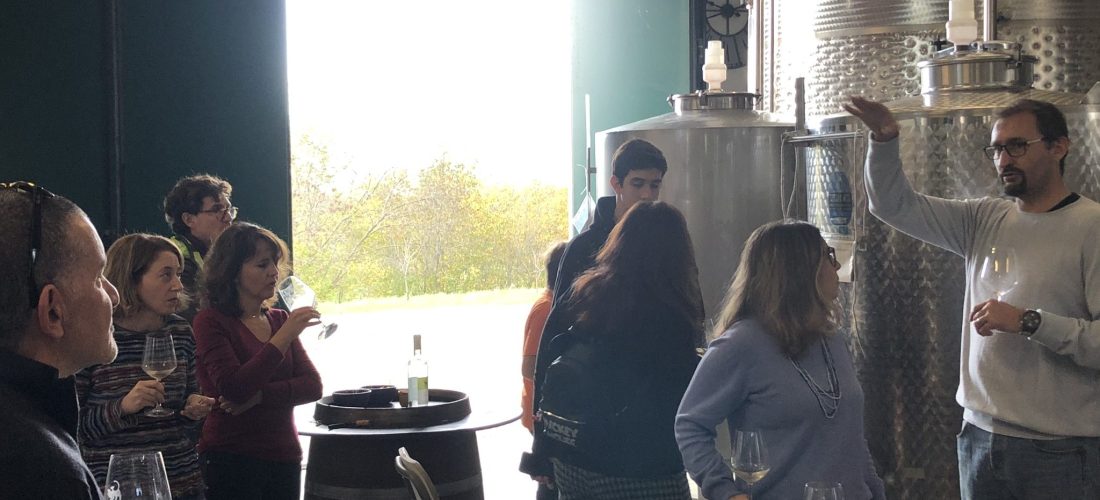 Persone durante un wine tour in una cantina in maremma